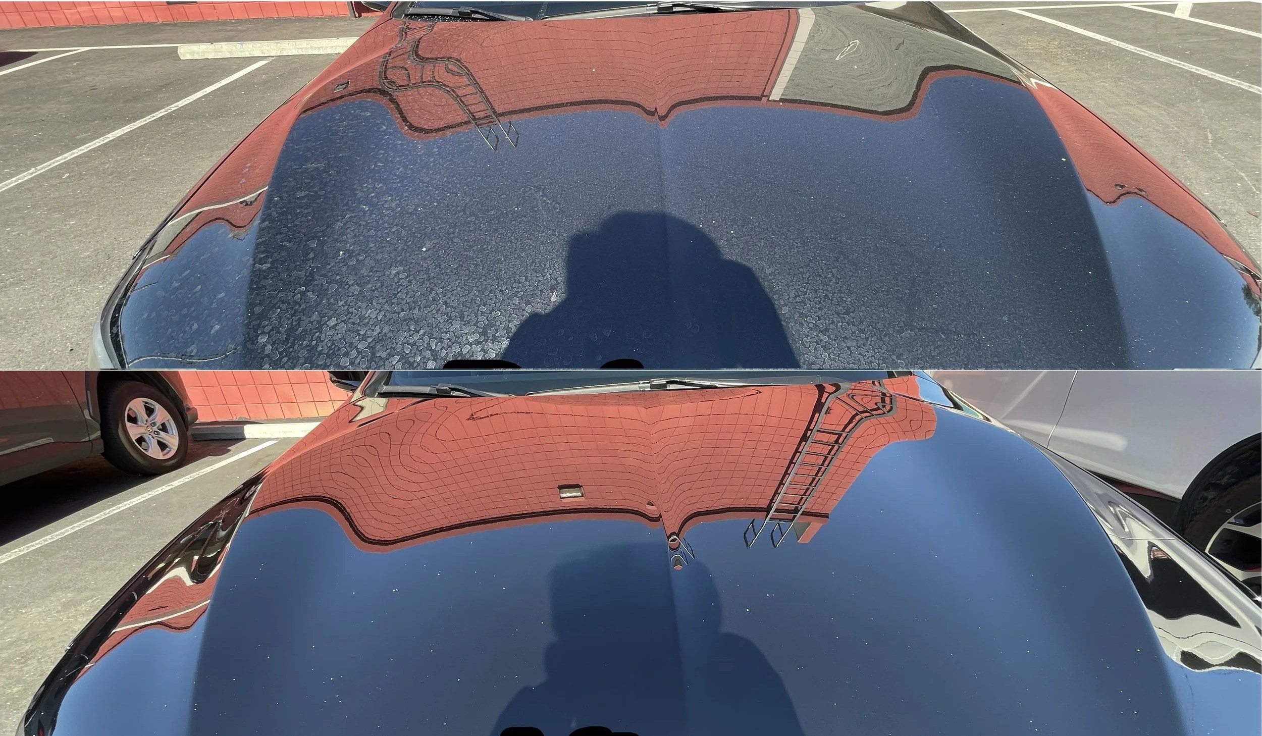Before and after water spot removal on an Acura hood